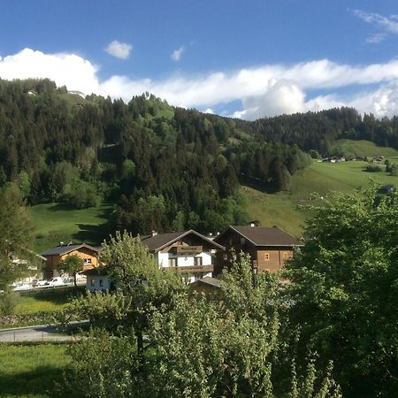 Апартаменты Kitzbuheler Alpen Penthouse Hollersbach Холлерсбах  Экстерьер фото